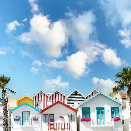 The Pine Flat With Pool @ Furadouro Lejlighed *