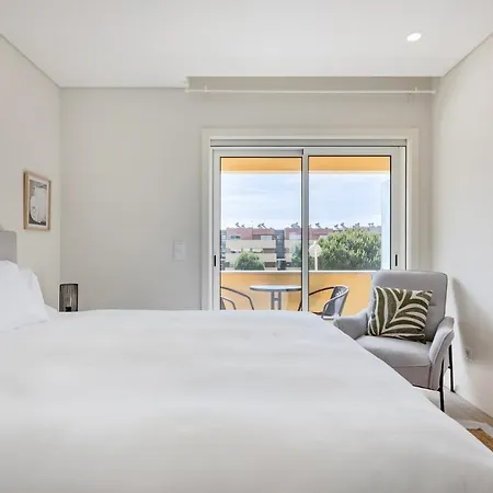 The Pine Flat With Pool @ Furadouro Apartment Ovar